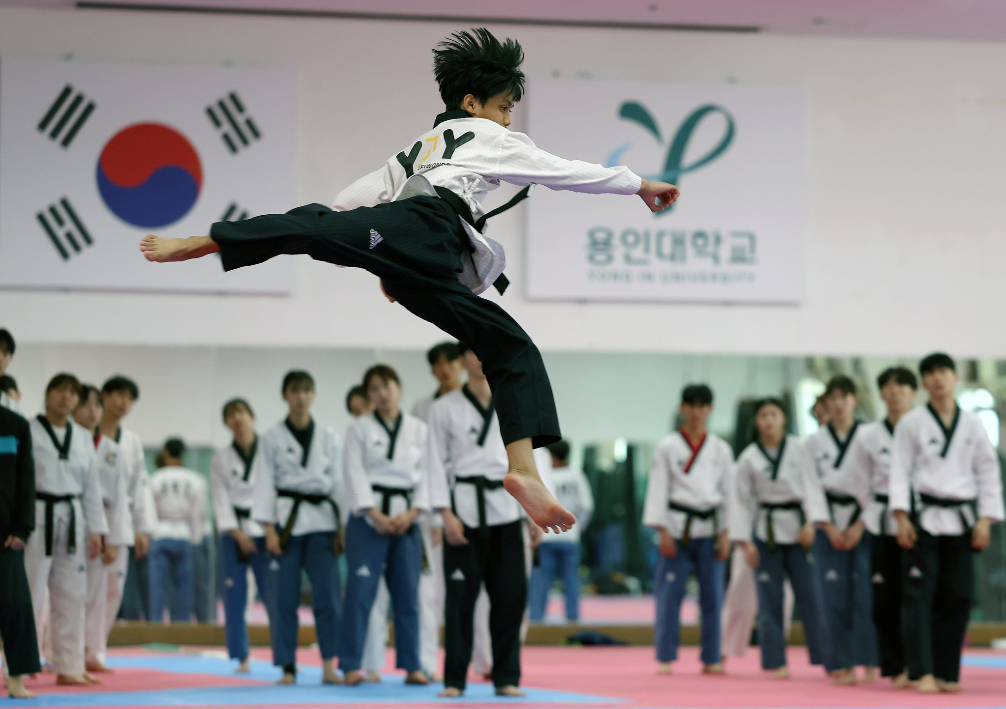 Taekwondo